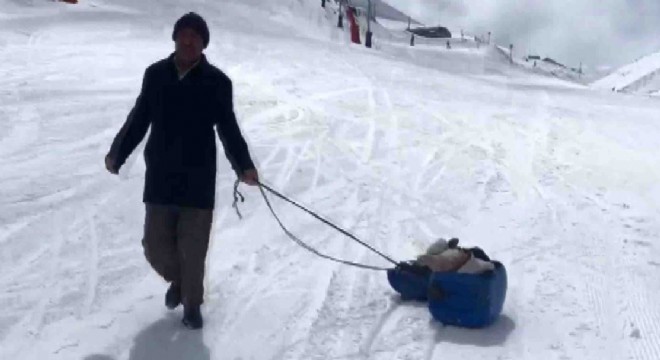 Hasta buzağıyı kızakla veterinere götürdü