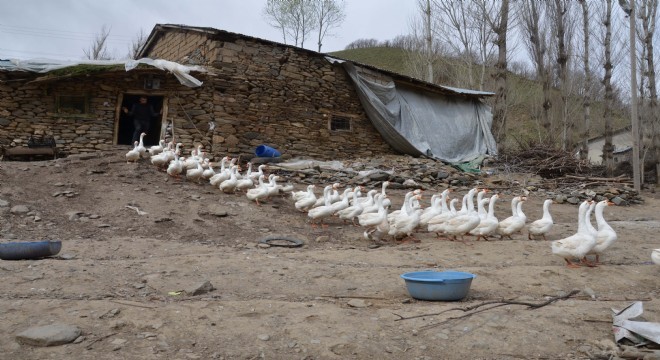 MŞÜ Doğu’da bir ilki başlattı