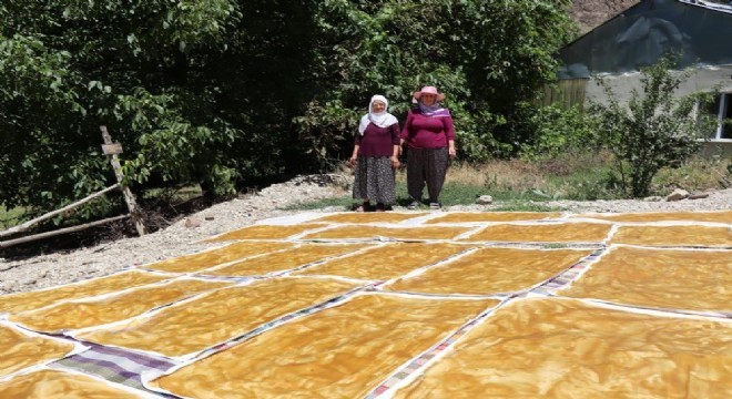 Ormanağzı’nda Karnavas dut pestili zamanı