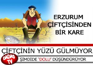 ÇİFTÇİYİ DOLU VURDU