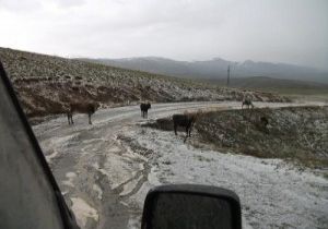 TEKMAN YOLU ÇİLE YOLU