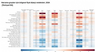 Bölgesel Satınalma Gücü Paritesi, 2024 açıklandı