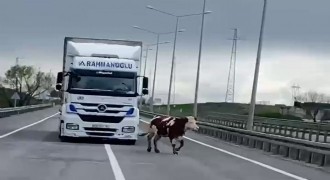 Kazaya ramak kaldı