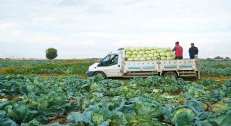 Tarım-ÜFE yıllık yüzde 45,40 arttı