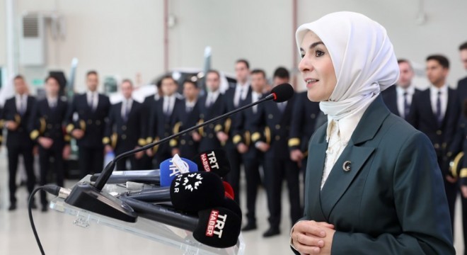 ‘Türkiye’de Kadına Yönelik Şiddet Araştırması’